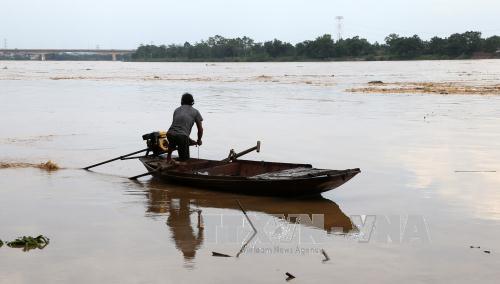 Một người bị lũ cuốn trôi khi vớt củi trên sông ảnh 1